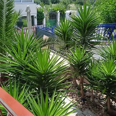 Apartmán Blue Moon *