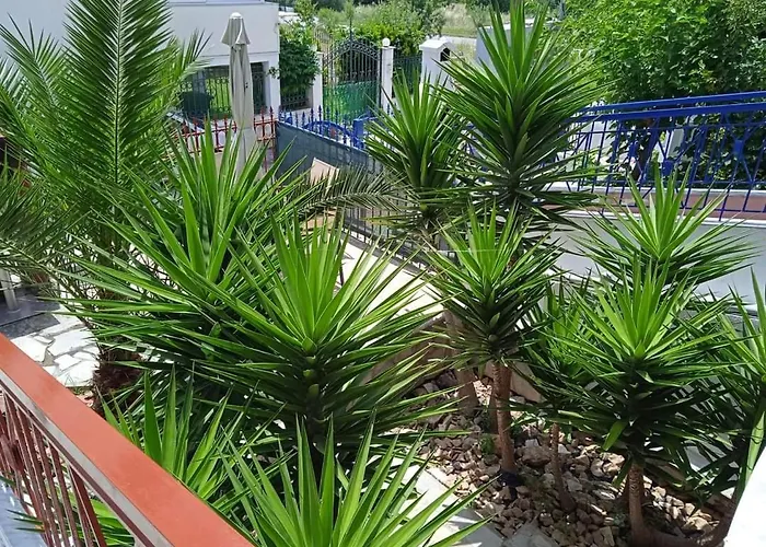 Appartement Blue Moon *